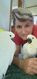 Any fun starter foods for 2-month-old parakeets?