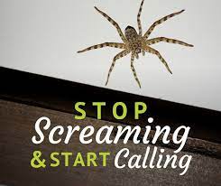 Green safe pest program best pest control in little rock ar. Command Pest Control Command Pest Twitter