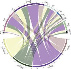 Image result for Agrocharis incognita