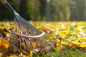 Seasonal clean-up service