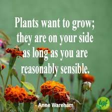 Plants Want To Grow They Are On Your Side As Long As You Are Garden Quotes Signs Garden Quotes Garden Works
