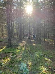 Best camping cabins near myles standish state forest are you looking for a relaxing vacation where you can do exactly what you want? The Myles Standish State Forest Trail Riders Home Facebook