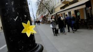 19 kwietnia — kartka z kalendarza. Akcja Zolte Zonkile Znaczenie I Symbolika Dlaczego Nosimy Je 19 Kwietnia 2021 Radio Zet