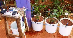 Automated Watering Of Potted Plants With Intel Edison Plants Plant Watering System Aquaponics Diy