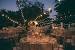 Wedding Reception Bride