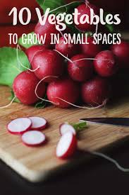 Check spelling or type a new query. Gardening In Small Spaces 10 Best Vegetables To Grow