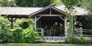We did not find results for: A Man Was Found Camping Out On Disney World S Abandoned Discovery Island Park During Coronavirus Shutdown He Told Police He Didn T Know He Was Trespassing