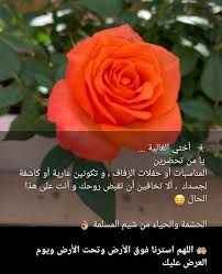 pin by صل على النبي on صباحات ومسائات facial massage flowers plants