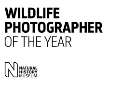 Gotcha sprayer pro for pest control bellow duster & aerosol wasp freeze up close. Slideshow Winners Of The 2020 Wildlife Photographer Of The Year Competition Digital Photography Review