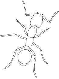 Ant coloring pages is a collection of images featuring some of the most industrious insects on our planet. Fire Ant Coloring Page Animals Town Animals Color Sheet Fire Ant Printable Coloring