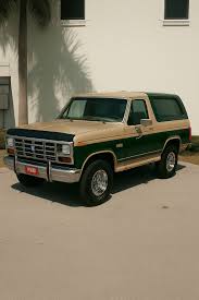 Image result for Light Desert Tan 1983 Tempo