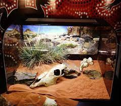 I Like The Grass And Bones For Comet Snake Terrarium Reptile Terrarium Terrarium