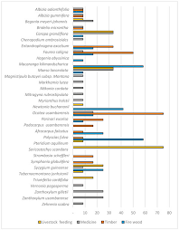 Image result for Triumfetta angolensis