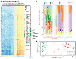 Partial remission simply means that the cancer has not been fully removed, but the tumour has reduced in size (or in quantity in the case of complete remission is the point at which all tests/scans and physical examinations reveal that the cancer has fully left the patient's system, meaning there is. Cancers Free Full Text Widespread Aberrant Alternative Splicing Despite Molecular Remission In Chronic Myeloid Leukaemia Patients