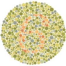 ishihara color plate test for colorblindness