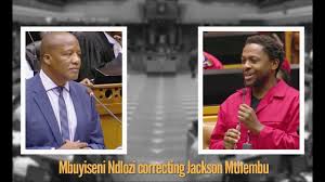 Houzz is the new way to design your home. Ndlozi Jackson Mthembu Is Misleading The House Sonadebate Sona2018 Youtube