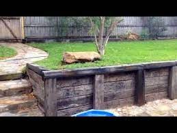 Landscape Networker Tips And Ideas On How To Install A Railroad Tie Retaining Wall Railroad Tie Retaining Wall Retaining Wall Steps Sleeper Retaining Wall