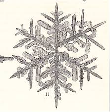 1908 Antique Snow Star Print Snowflake Crystal Forms Etsy Lithograph Star Print Antique Prints