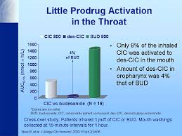 Image result for Inhaled Ciclesonide
