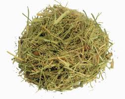 Image result for Momordica repens