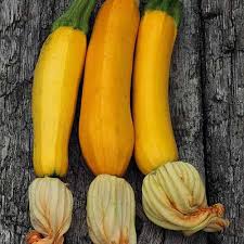 Maybe you would like to learn more about one of these? How To Grow Golden Zucchini Gardener S Path