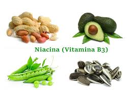 Infatti, il tuo organismo non è in grado di sintetizzare la vitamina b12, ma deve necessariamente assumerla con l'alimentazione. I 10 Cibi Piu Ricchi Di Vitamina B3 Naturopataonline