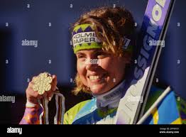 Wiberg hi-res stock photography and images