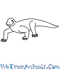 Let`s draw a komodo dragon. How To Draw A Cartoon Komodo Dragon