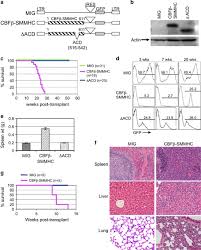 Instagram, whatsapp and candy crush saga. The Assembly Competence Domain Is Essential For Inv 16 Associated Acute Myeloid Leukemia Leukemia