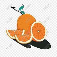Download cepat pelbagai contoh gambar mewarna buah oren yang berguna. Buah Oren Gambar Unduh Gratis Imej 401480856 Format Ai My Lovepik Com