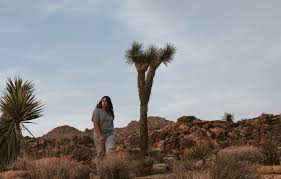 Jun 13, 2021 · authorities have discovered a body in southern california's joshua tree national park, prompting them to suspend a search for a missing man. Can You Touch A Joshua Tree Hipcamp Journal Stories For Hipcampers And Our Hosts