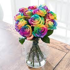 We did not find results for: Rainbow Roses Rainbow Rose Bouquets Blossoming Gifts