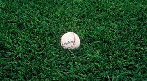 St Augustine Sod From Sod Com Best Shade Tolerance Grass Grass For Sale Warm Season Grass Sod Grass