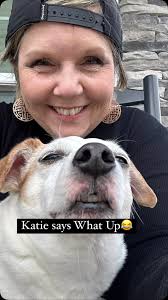 #chattanooga #tennessee #jackrussell #jrt #dogsofinstagram #kate #fun  #whatupdawg #whatup #50cent