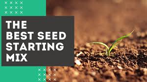 The specially formulated seed starting soil was designed to replicate greenhouse conditions in your home. The Best Seed Starting Mix For Your 2021 Garden Seeds Grain