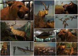 Prince of Wales Museum Mumbai, History ...