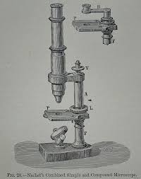 Nachet S Compound Microscope Encyclopedia Britannica 1878 Microscopic Antique Prints Britannica