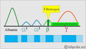 Image result for Fibrinogen