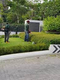 We are a leading company when it comes to landscaping and plant delivery in singapore. Landscaping Companies Singapore Commercial Landscaping Services Company Singapore Landscape Contractor Singapore