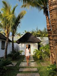 Image result for Heinsia zanzibarica