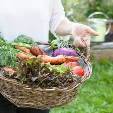 Finden sie den abschnitt, wo es um die prinzipien für gesundes essen im pausenkiosk geht, und lesen sie ihn vor. Obst Und Gemuse Ubersicht Von A Bis Z Die Techniker