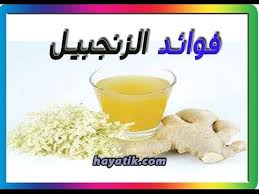 فوائد الزنجبيل المذهلة فوائد الزنجبيل للشعر ماهي فوائد الزنجبيل الزنجبيل للتخسيس food animals dog food recipes food