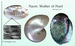 Mother of Pearl: Nacre – Geology In