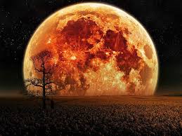 Please contact us if you want to publish a lunar eclipse wallpaper on our site. Hd Wallpaper Total Lunar Eclipse Near Field Digital Artwork Moon Fantasy Art Wallpaper Flare
