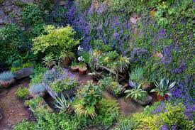 Behnkes Loves The Layered Garden Enter To Win A Copy Behnke Nurseries Garden Center Small Garden Design Garden Design Small Garden