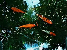 2:54 all mobile рекомендовано вам. Paling Keren 41 Gambar Wallpaper 3d Bergerak