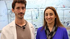 Other screening tests are also available. Cure For Deadly Brain Cancer May Be On Its Way Israel21c
