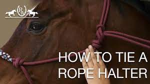 They usually do not have the strength of a nylon. How To Tie A Rope Halter Youtube