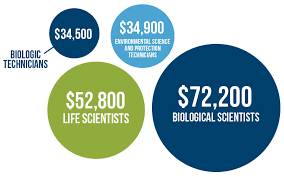 Science And Mathematics St Petersburg College
