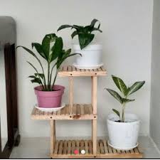 Harga rak bunga kayu bertingkat. Rak Bunga Bertingkat Dari Kayu Tinggi 70cm Lazada Indonesia